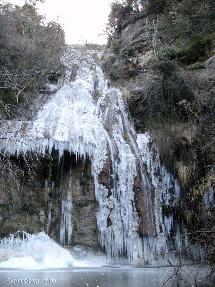 El salt del roure glaçat 